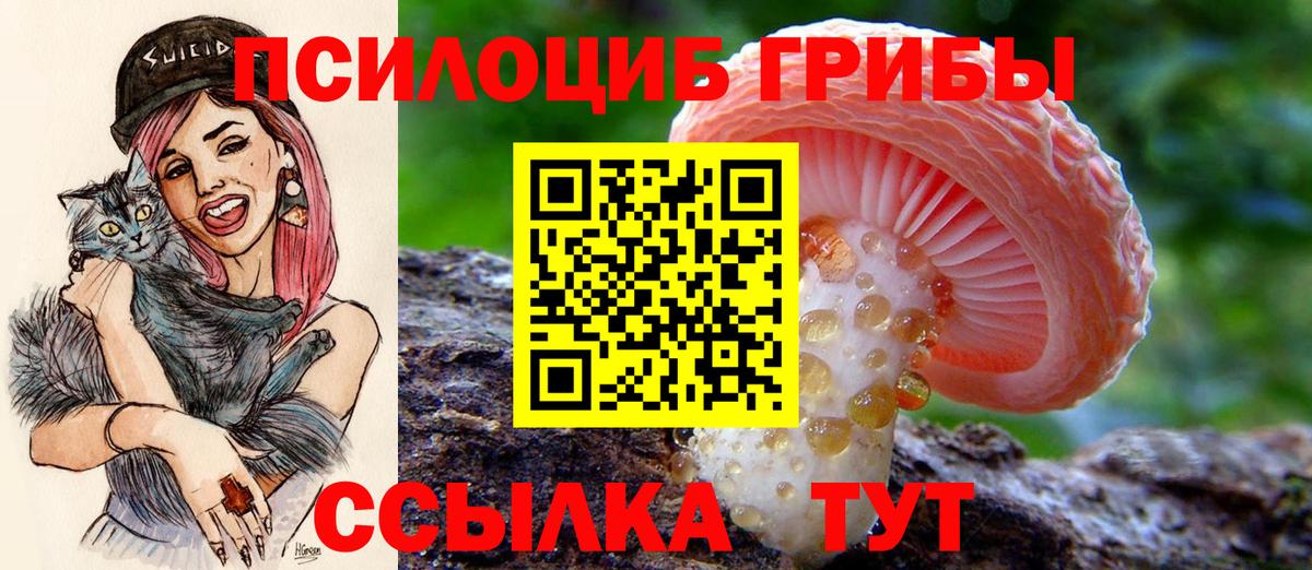 Вичуга  Галлюциногенные грибы мицелий  Вход с VPN 