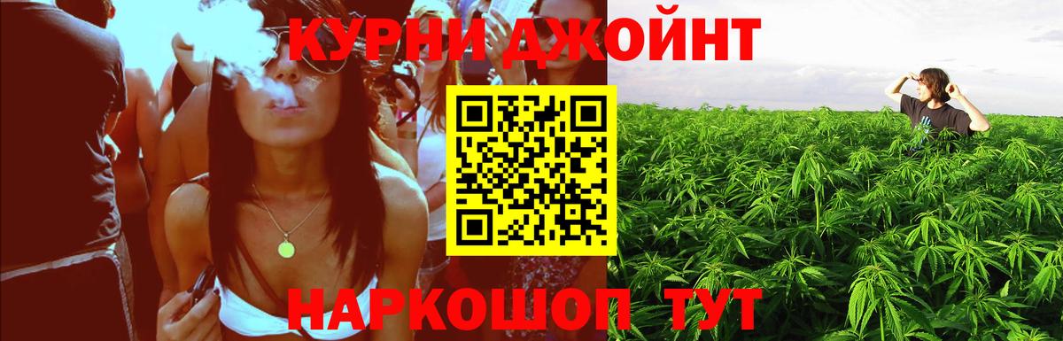 Канабис ГИДРОПОН Вичуга